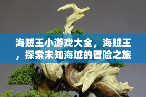 海贼王小游戏大全，海贼王，探索未知海域的冒险之旅