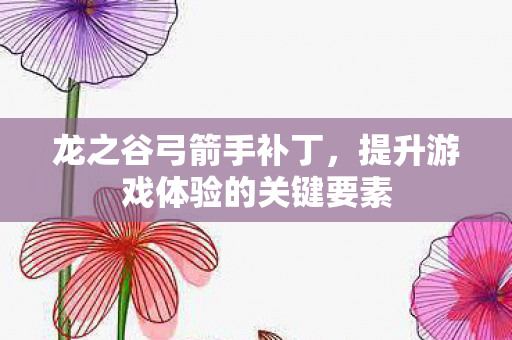 龙之谷弓箭手补丁,提升游戏体验的关键要素 龙之谷弓箭手补丁,提升游戏体验的关键要素