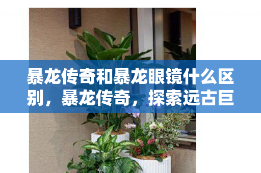 暴龙传奇和暴龙眼镜什么区别，暴龙传奇，探索远古巨兽的神秘世界