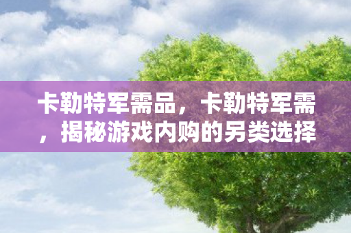 卡勒特军需品，卡勒特军需，揭秘游戏内购的另类选择