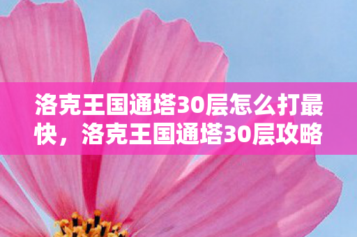 洛克王国通塔30层怎么打最快，洛克王国通塔30层攻略，策略与技巧