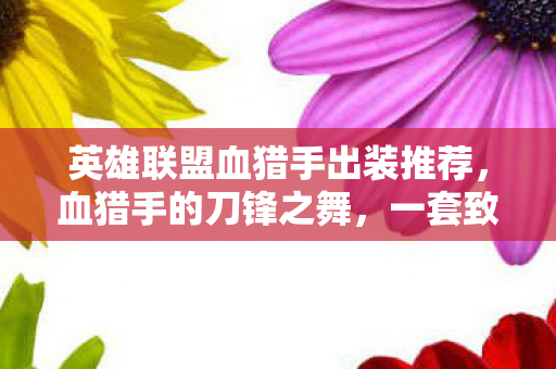 英雄联盟血猎手出装推荐，血猎手的刀锋之舞，一套致胜的出装策略