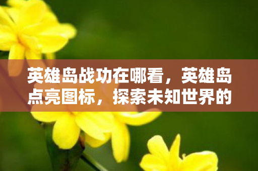 英雄岛战功在哪看，英雄岛点亮图标，探索未知世界的奇妙之旅