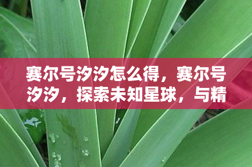 赛尔号汐汐怎么得，赛尔号汐汐，探索未知星球，与精灵共舞