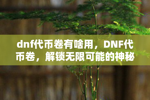dnf代币卷有啥用，DNF代币卷，解锁无限可能的神秘钥匙