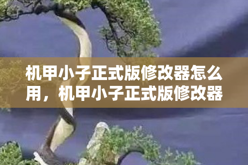 机甲小子正式版修改器怎么用，机甲小子正式版修改器，解锁无限可能的战斗体验