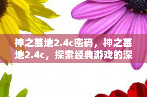 神之墓地2.4c密码，神之墓地2.4c，探索经典游戏的深度与魅力