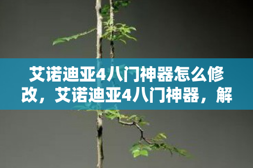 艾诺迪亚4八门神器怎么修改，艾诺迪亚4八门神器，解锁无限可能的冒险之旅