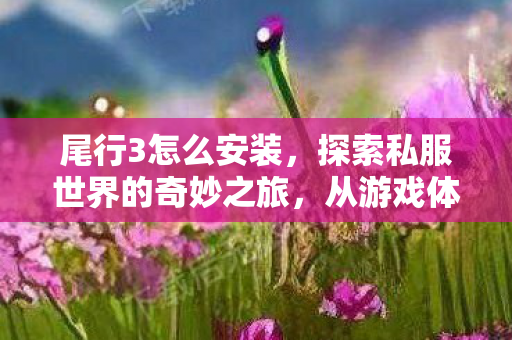 尾行3怎么安装，探索私服世界的奇妙之旅，从游戏体验到文化现象