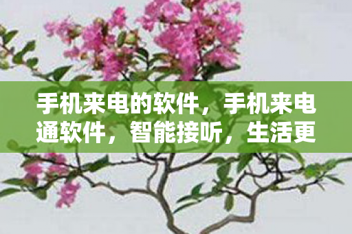 手机来电的软件，手机来电通软件，智能接听，生活更便捷