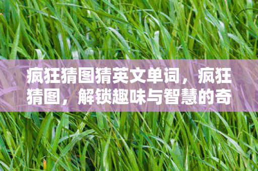 疯狂猜图猜英文单词，疯狂猜图，解锁趣味与智慧的奇妙之旅
