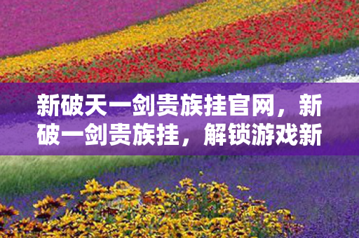 新破天一剑贵族挂官网，新破一剑贵族挂，解锁游戏新境界的利器