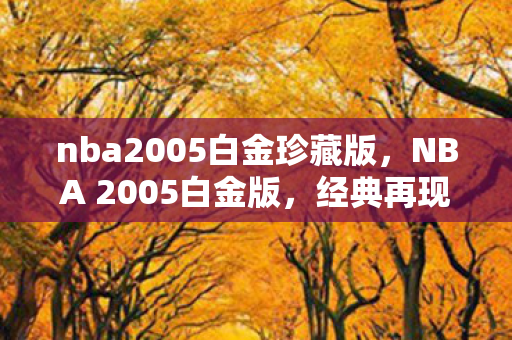 nba2005白金珍藏版，NBA 2005白金版，经典再现，情怀与技术的双重盛宴