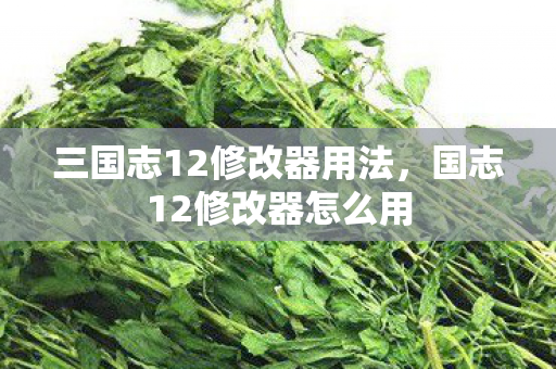三国志12修改器用法，国志12修改器怎么用
