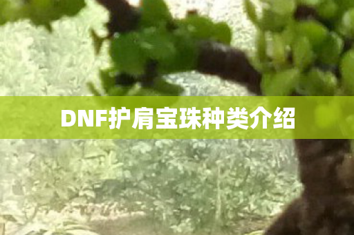 DNF护肩宝珠种类介绍