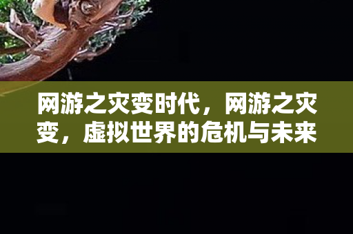 网游之灾变时代，网游之灾变，虚拟世界的危机与未来展望