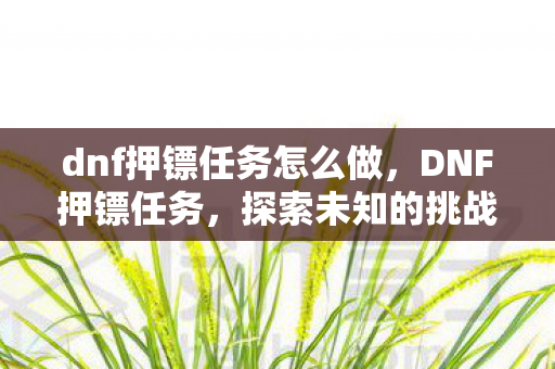 dnf押镖任务怎么做，DNF押镖任务，探索未知的挑战与奖励