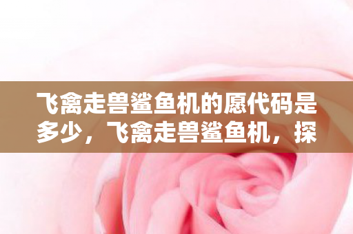 飞禽走兽鲨鱼机的愿代码是多少，飞禽走兽鲨鱼机，探索经典游戏的魅力与策略