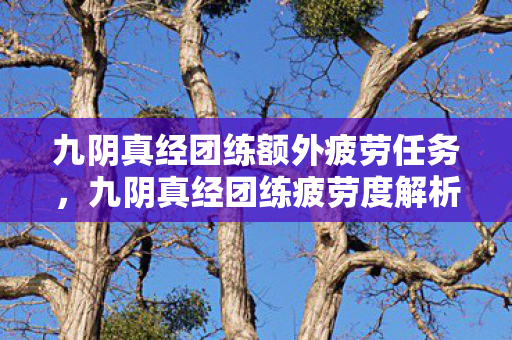 九阴真经团练额外疲劳任务，九阴真经团练疲劳度解析，如何高效利用游戏资源
