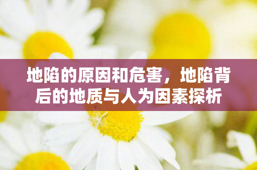 地陷的原因和危害，地陷背后的地质与人为因素探析