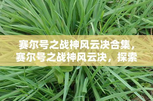 赛尔号之战神风云决合集，赛尔号之战神风云决，探索未知，决战宇宙！