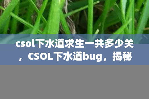csol下水道求生一共多少关，CSOL下水道bug，揭秘游戏隐藏漏洞与玩家应对之道