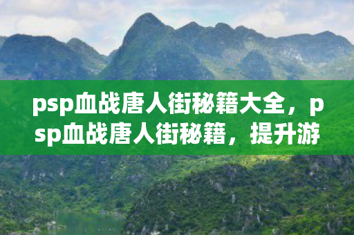 psp血战唐人街秘籍大全，psp血战唐人街秘籍，提升游戏技巧与策略