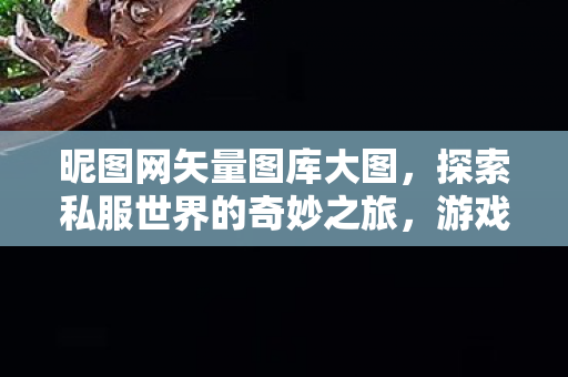 昵图网矢量图库大图，探索私服世界的奇妙之旅，游戏乐趣与社区文化的独特魅力