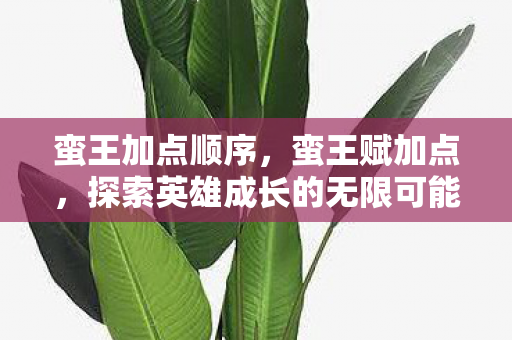 蛮王加点顺序，蛮王赋加点，探索英雄成长的无限可能