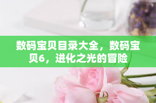 数码宝贝目录大全，数码宝贝6，进化之光的冒险