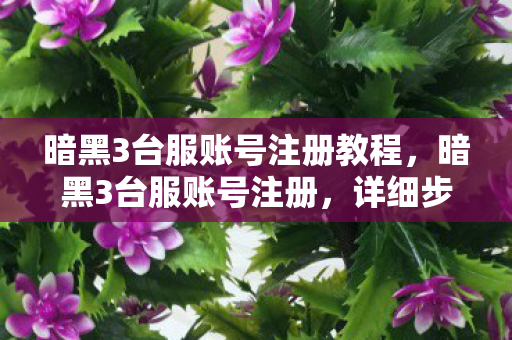 暗黑3台服账号注册教程，暗黑3台服账号注册，详细步骤与注意事项