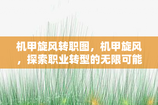 机甲旋风转职图，机甲旋风，探索职业转型的无限可能