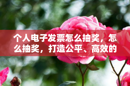 个人电子发票怎么抽奖，怎么抽奖，打造公平、高效的抽奖活动