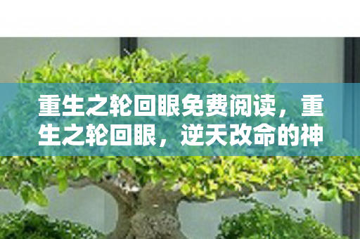 重生之轮回眼免费阅读，重生之轮回眼，逆天改命的神秘力量