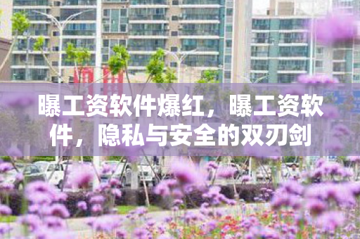 曝工资软件爆红，曝工资软件，隐私与安全的双刃剑