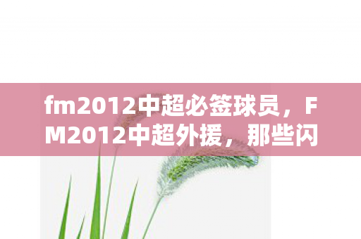 fm2012中超必签球员，FM2012中超外援，那些闪耀的外籍球星