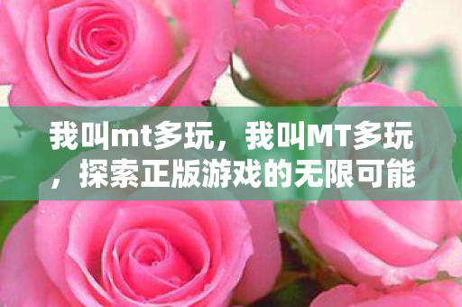 我叫mt多玩，我叫MT多玩，探索正版游戏的无限可能