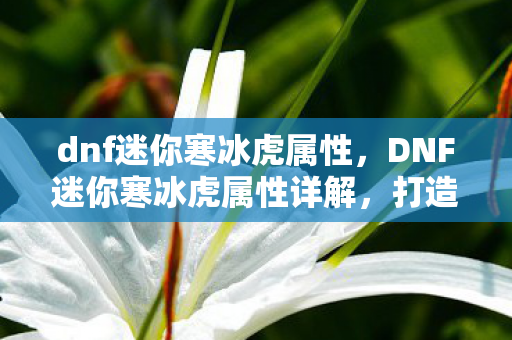 dnf迷你寒冰虎属性，DNF迷你寒冰虎属性详解，打造你的专属萌宠