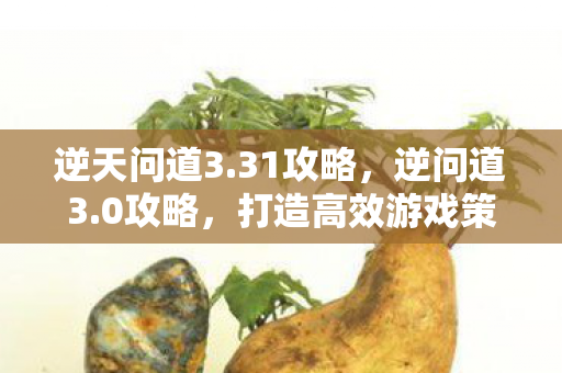 逆天问道3.31攻略，逆问道3.0攻略，打造高效游戏策略，助你突破瓶颈