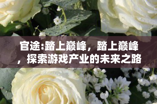 官途:踏上巅峰，踏上巅峰，探索游戏产业的未来之路
