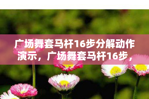 广场舞套马杆16步分解动作演示，广场舞套马杆16步，舞动生活的旋律
