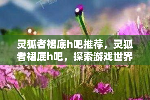 灵狐者裙底h吧推荐，灵狐者裙底h吧，探索游戏世界的独特魅力