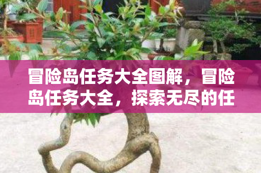 冒险岛任务大全图解，冒险岛任务大全，探索无尽的任务与冒险