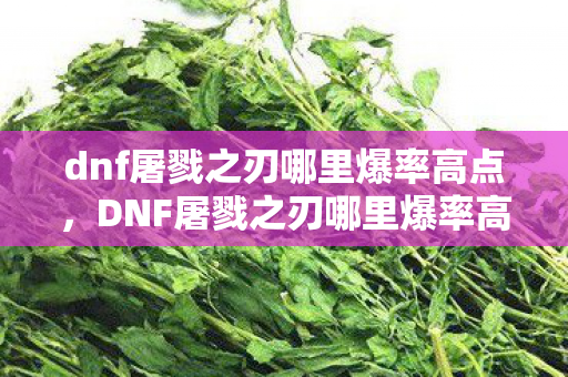 dnf屠戮之刃哪里爆率高点，DNF屠戮之刃哪里爆率高，揭秘官方途径与提升爆率的技巧