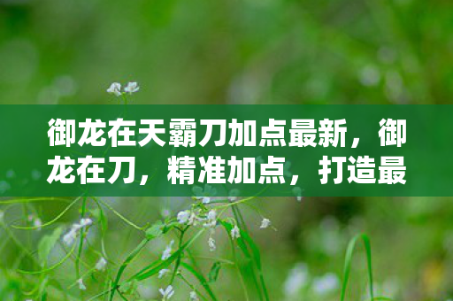 御龙在天霸刀加点最新，御龙在刀，精准加点，打造最强战力