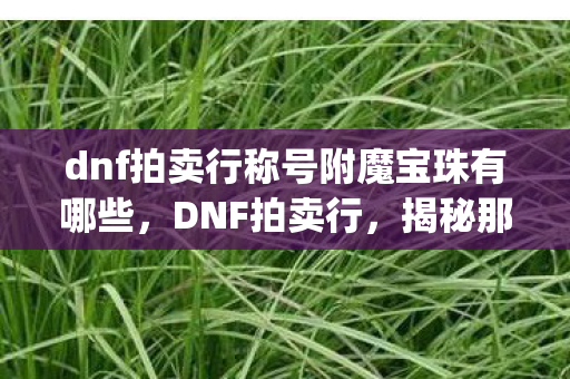 dnf拍卖行称号附魔宝珠有哪些，DNF拍卖行，揭秘那些令人头疼的bug