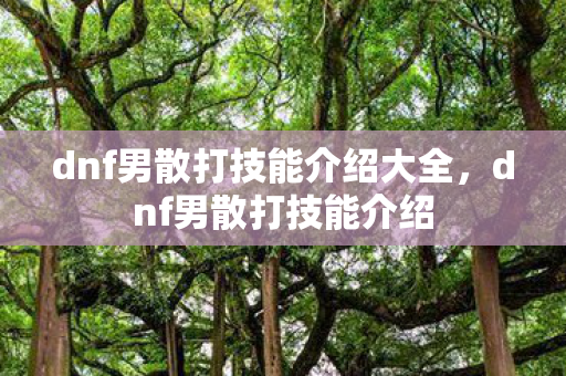 dnf男散打技能介绍大全，dnf男散打技能介绍