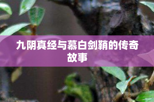 九阴真经与慕白剑鞘的传奇故事 九阴真经与慕白剑鞘的传奇故事