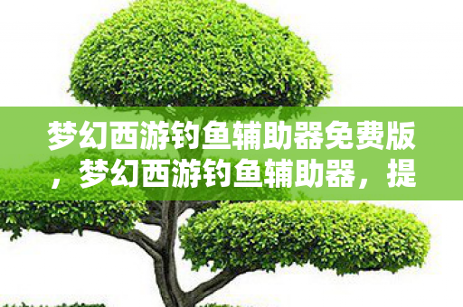梦幻西游钓鱼辅助器免费版，梦幻西游钓鱼辅助器，提升游戏体验的神奇工具
