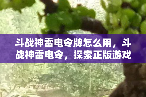 斗战神雷电令牌怎么用，斗战神雷电令，探索正版游戏的独特魅力与安全保障